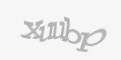 Защитный код